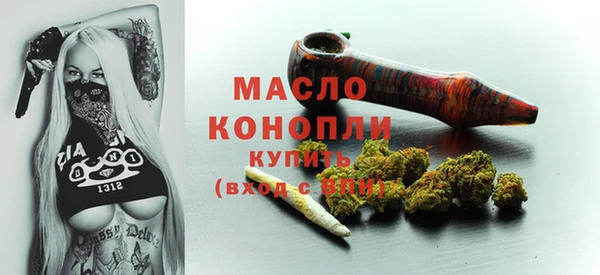 тгк Дмитриев