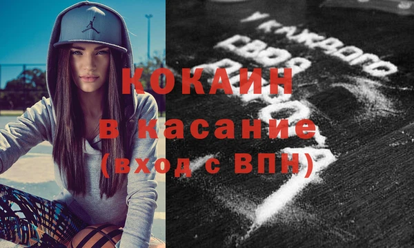 тгк Дмитриев