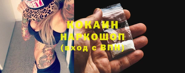 тгк Дмитриев