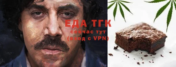 тгк Дмитриев