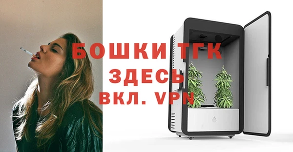 тгк Дмитриев