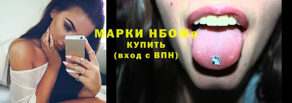 тгк Дмитриев