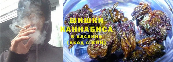 бошки Дмитров