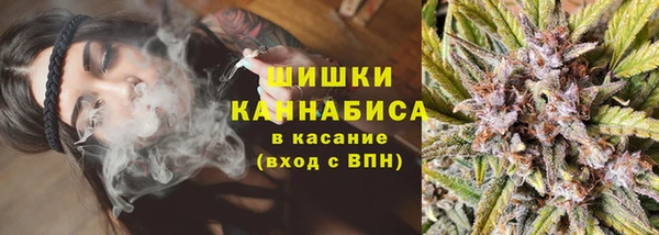 тгк Дмитриев