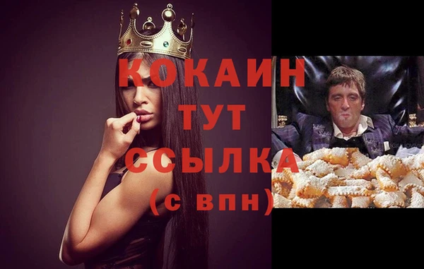 бошки Дмитров