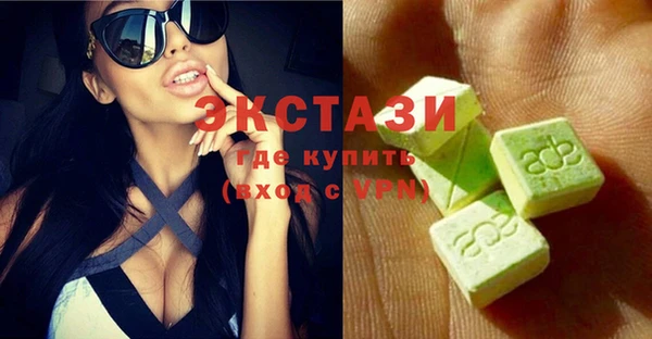 тгк Дмитриев